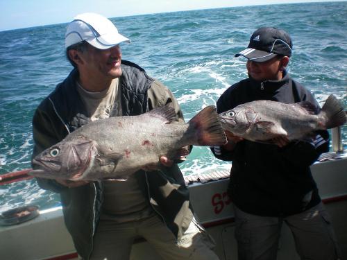 CHERNIAS Y ABADEJOS